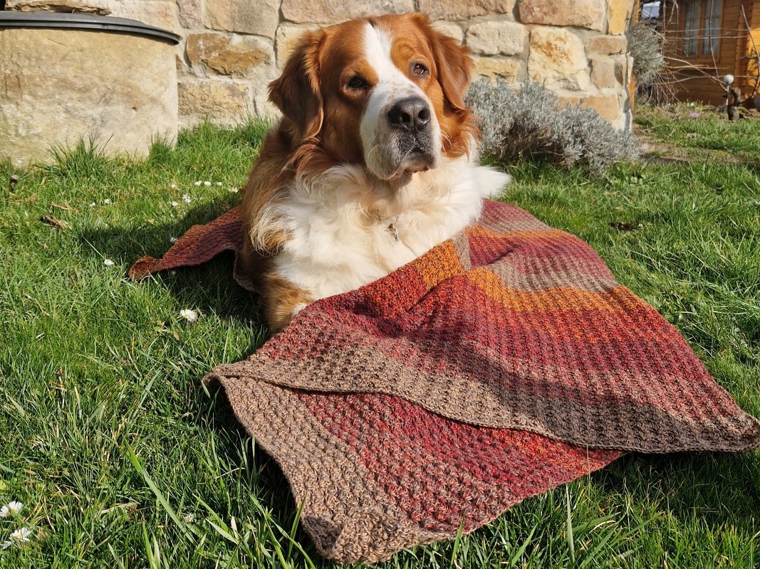 Braun-weißer Hund liegt auf Gras, teils bedeckt von gehäkelter Decke in Rot-, Orange- und Brauntönen