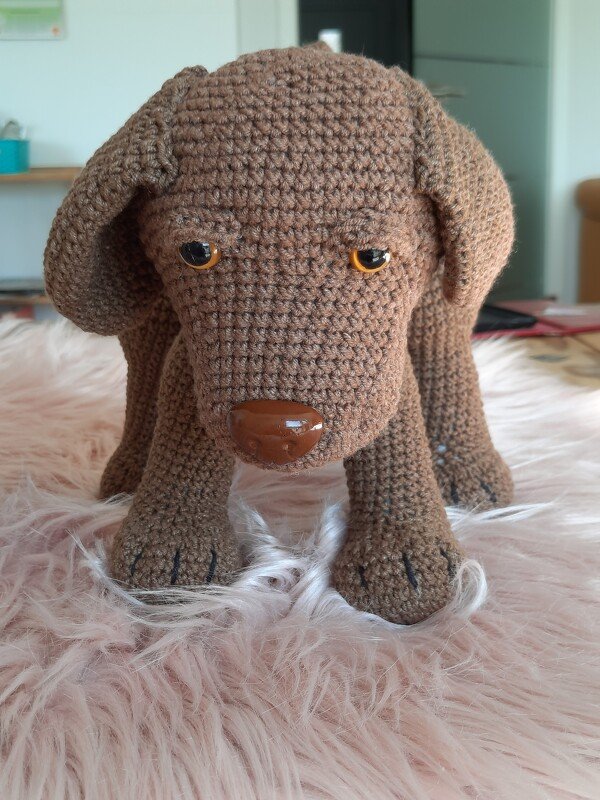 Häkelanleitung Labrador Kalle - Bild 2