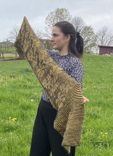 Stola Blütenranken Schattenstricken