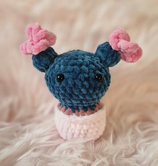 Die 3 Kakteen Piksy, Poksy und Peksy