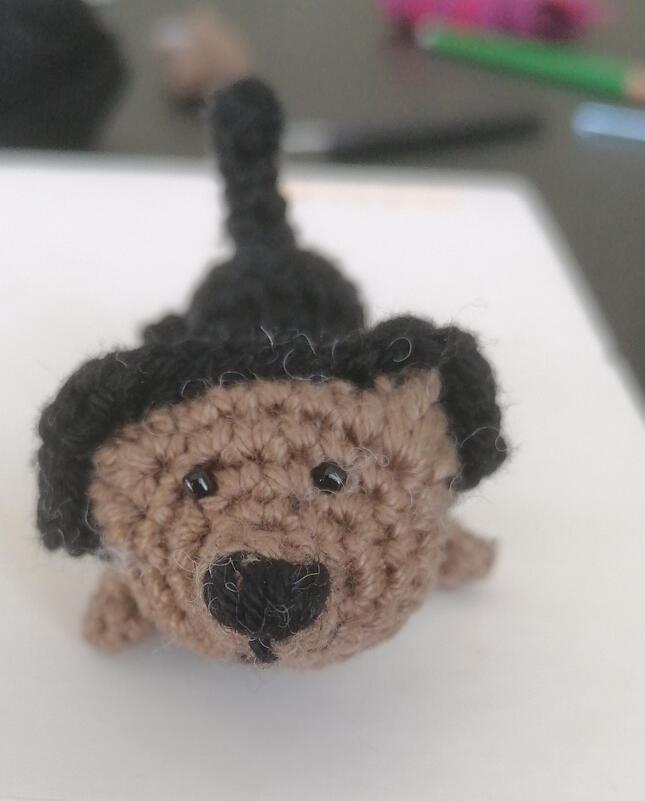 Kleiner Hund, Yorkshire Terrier - Bild 2