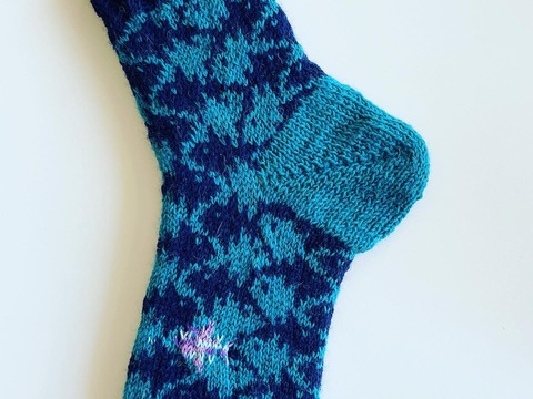 Schillernder Fisch Socken