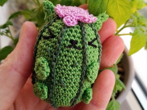 Cactus cat the tiny kitten