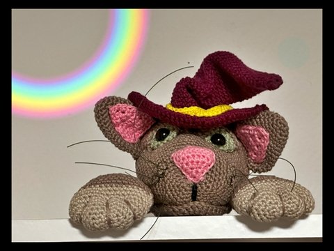 Kater als Schrankwächter oder Kantengucker