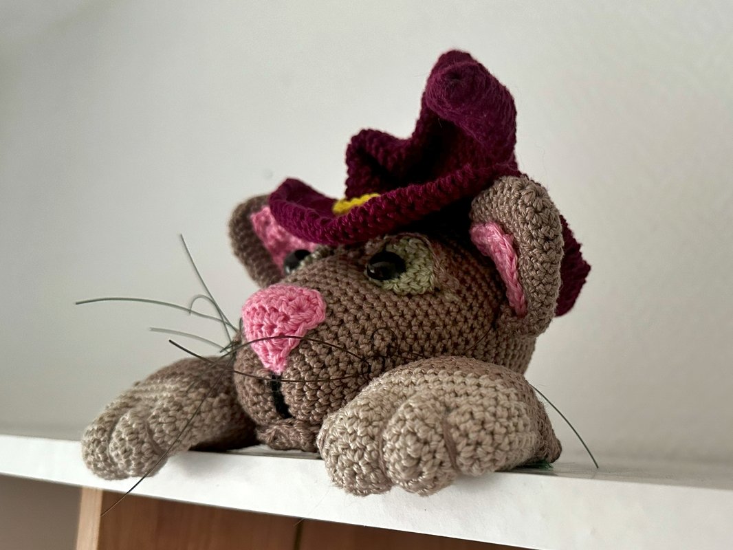 Kater als Schrankwächter oder Kantengucker - Bild 2