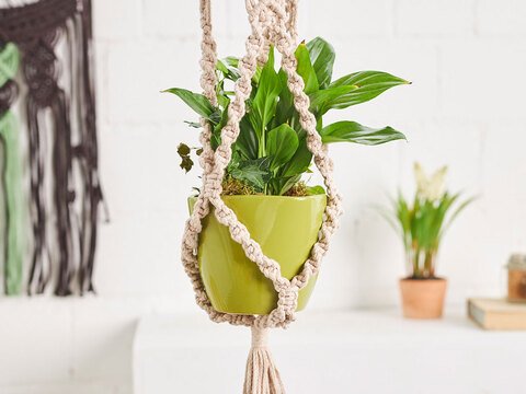 BLUMENAMPEL EINFARBIG