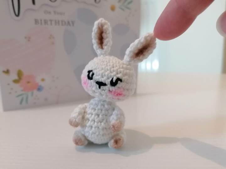 Cute Mini Bunny Crochet Pattern – Amigurumi  Rabbit PDF