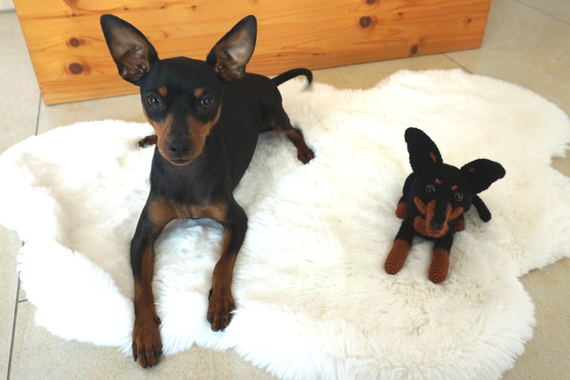 Hund Monty Häkelanleitung