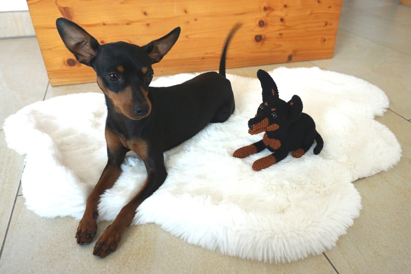 Hund Monty Häkelanleitung