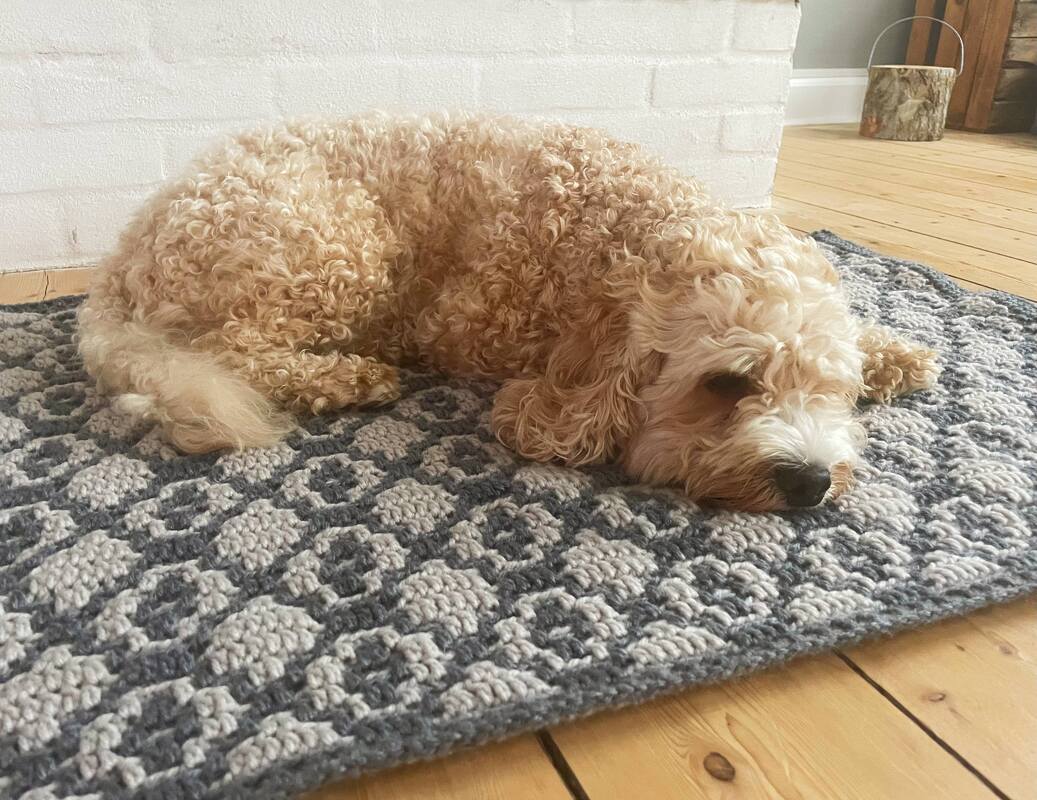 Gehäkelte Decke mit wiederholendem pixelähnlichem Muster in Hell- und Dunkelgrau, darauf liegt ein lockiger Hund.
