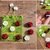 Anleitung für 'TicTac Toe' Marienkäfer und Blume