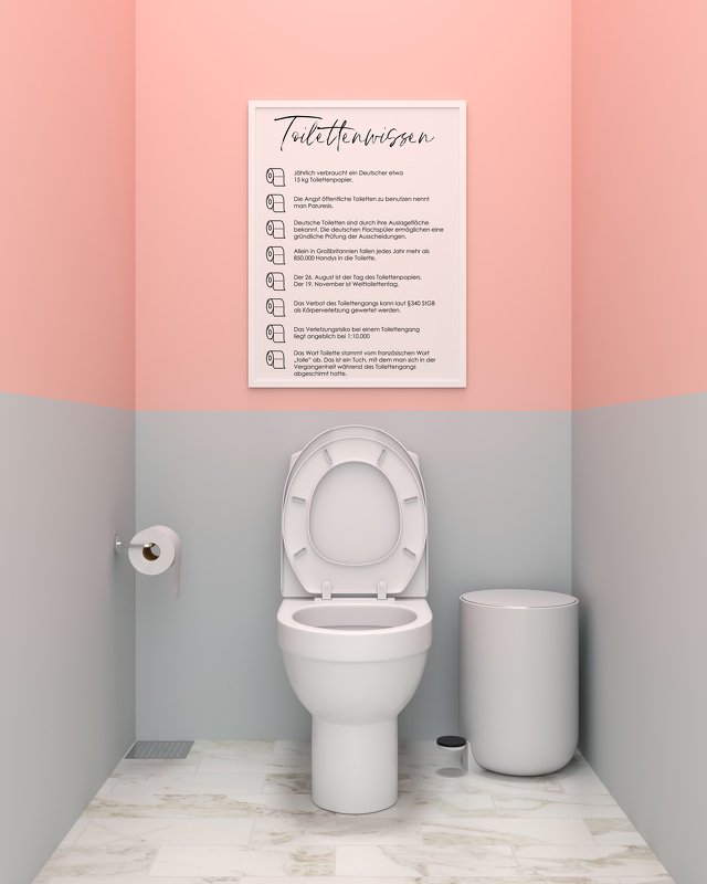 Poster TOILETTENWISSEN Poster Badezimmer mit unnützem Wissen Geschenk Einzu - Bild 3