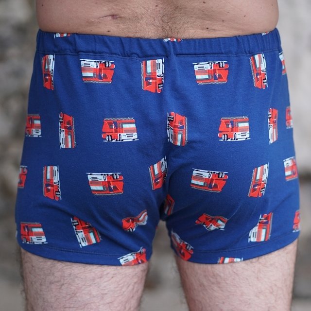 Rückansicht einer Person in blauen Boxershorts mit durchgehendem Campingbus-Druck.