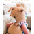 Kuscheltier / Amigurumi XXL-Alpaka "Big Buddy" Häkelanleitung // PDF