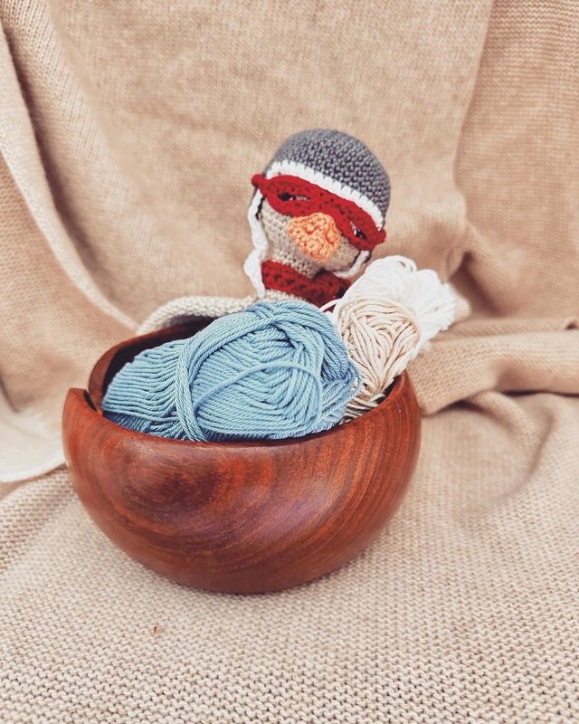 little goose Martin - Image 3