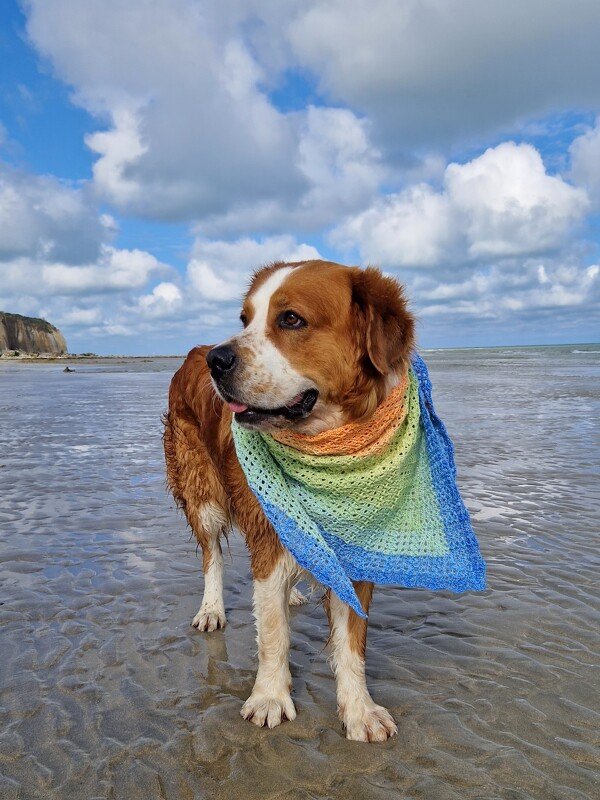 Mad Summer - Häkelanleitung Dreieckstuch - Bild 8