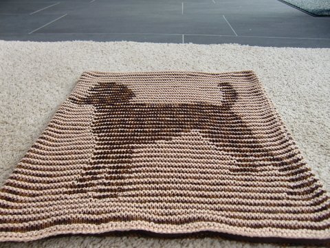 DIY Strickanleitung Kissenbezug mit Pudel und Pfotenspur (Schattenstricken)