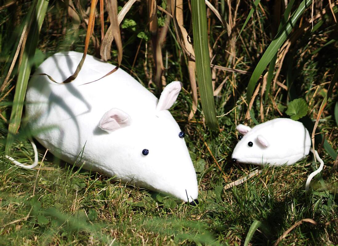 Maus Leopold in 4 Gr. nähen Kuscheltier - Bild 12