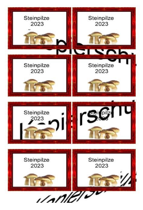 Etiketten für Eingemachtes - Einmach Etiketten - Steinpilze