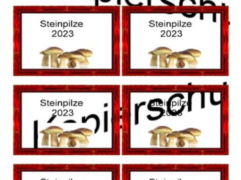 Etiketten für Eingemachtes - Einmach Etiketten - Steinpilze