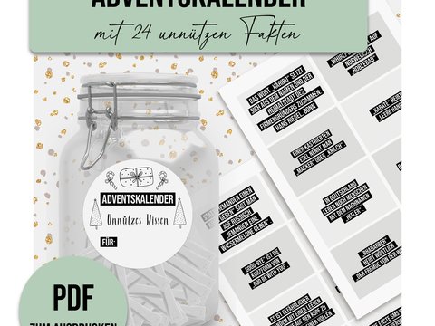 Adventskalender UNNÜTZES WISSEN Adventskalender zum Ausdrucken digitale Dat