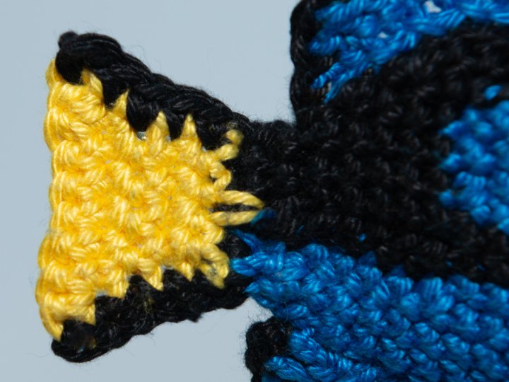 Doris the Royal Blue Tang Crochet Pattern, Amigurumi Colorful Coral Fish