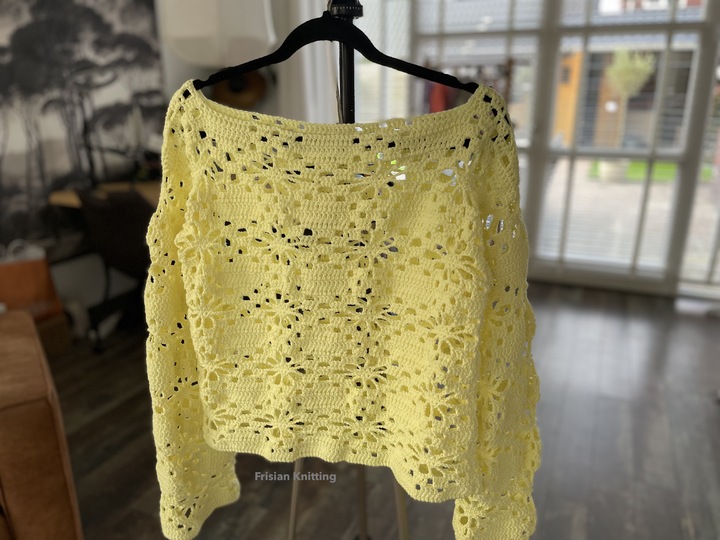 Flower crochet jumper crop-top Daisy long flared sleeves | mesh jumper |