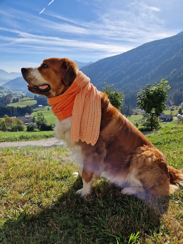 Crazy Winter - Häkelanleitung unisex Schal