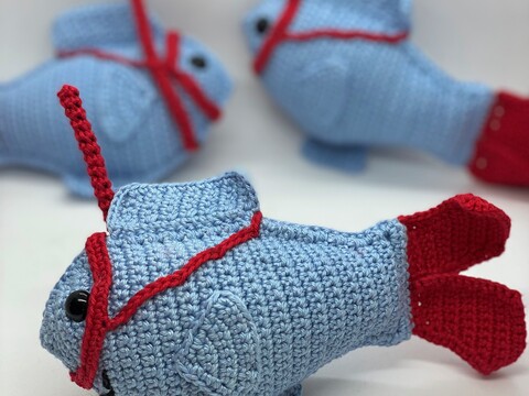 Blue der Schnorchelfisch