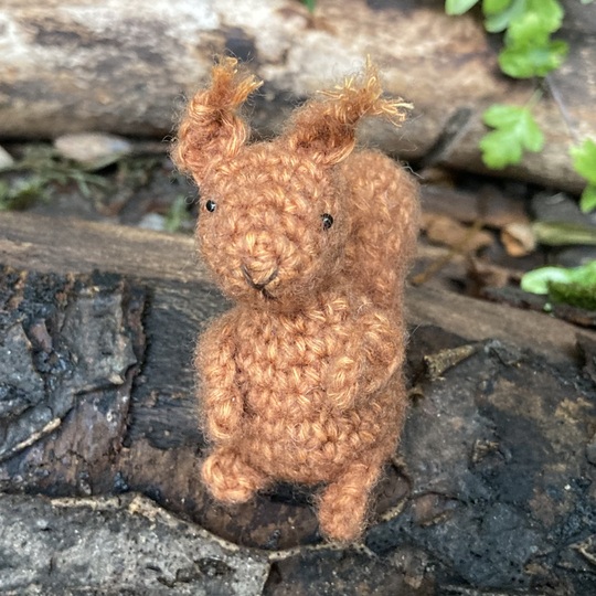 Woodland Elf Nash und Eichhörnchen Fjell Häkelanleitung Set