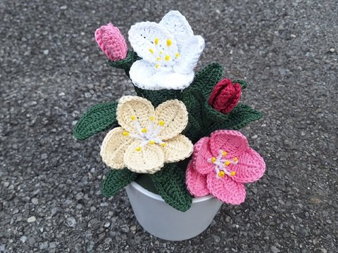 Christrose - Häkelanleitung