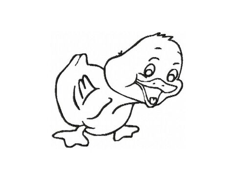 Stickdatei Ente 10x10 Applikation schwarz Frühling Ostern