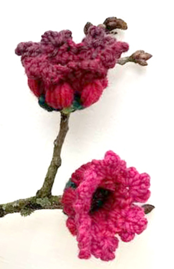 Die vielseitig verwendbare Blüte