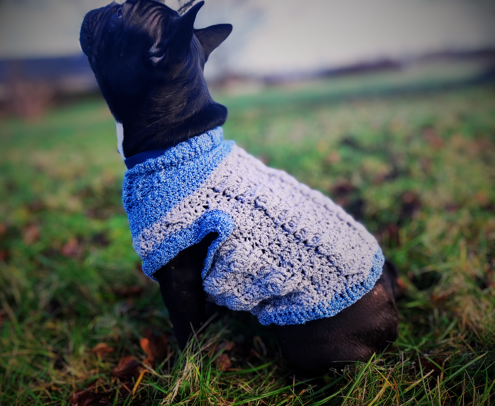 Häkelanleitung Hundepullover "Nico"