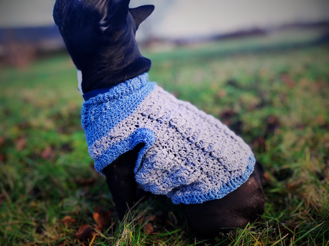 Häkelanleitung Hundepullover "Nico"