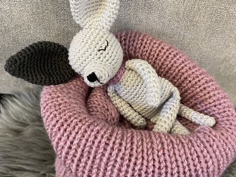 kleiner Chihuahua mit kuscheligem Hundebettchen