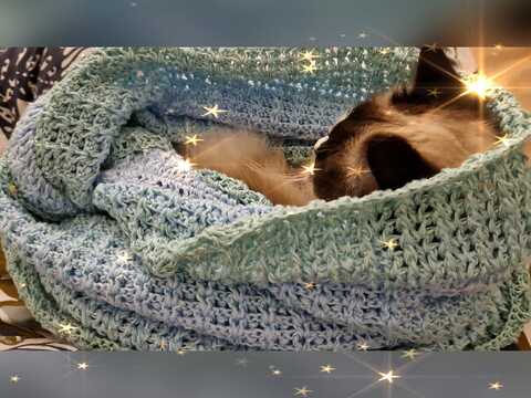 Häkelanleitung Naschkätzchen                        Loop für Damen & Herren