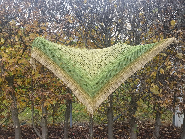 Yukina die Schneeblume - Anleitung für ein stilvolles Dreieckstuch