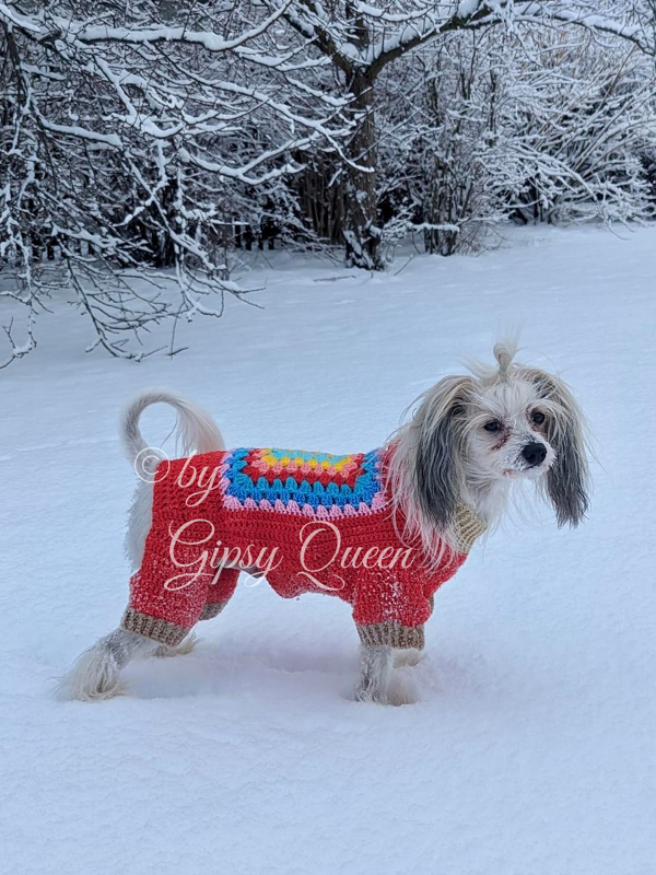 Kleiner langhaariger Hund im roten gehäkelten Ganzkörperpullover mit buntem Granny‑Square im Schnee