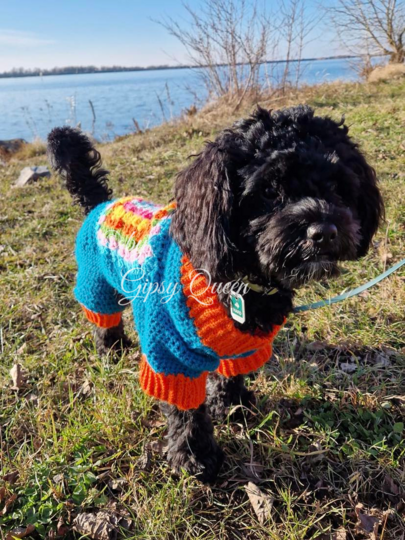 Häkelanleitung Hundepullover Heinrich