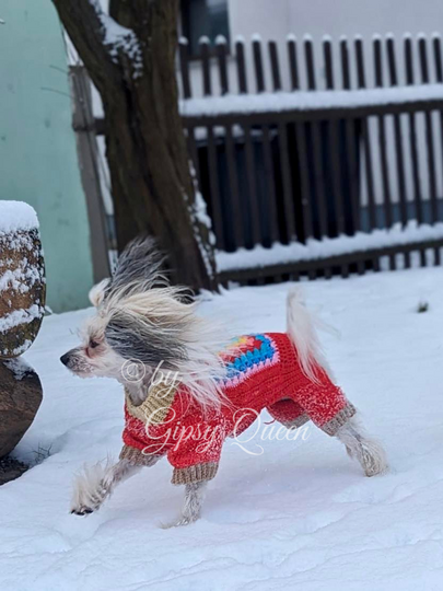 Häkelanleitung Hundepullover Heinrich