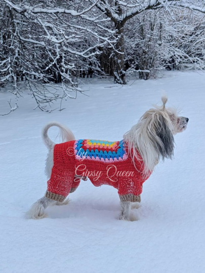 Häkelanleitung Hundepullover Heinrich