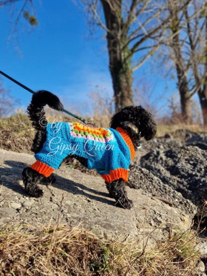 Häkelanleitung Hundepullover Heinrich