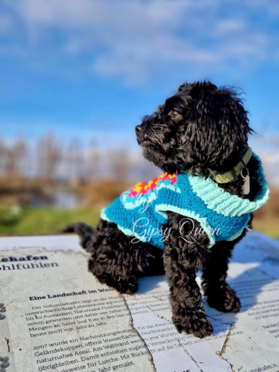 Häkelanleitung Hundepullover Heinrich