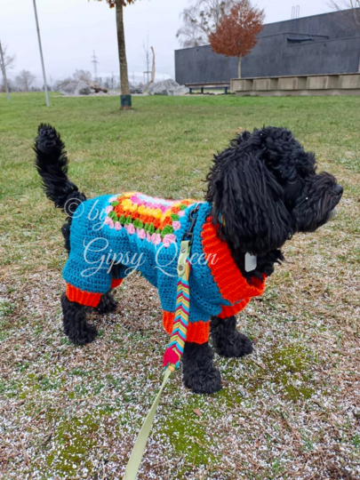 Häkelanleitung Hundepullover Heinrich