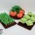 K037 Kitchen Garden vegetable patch Carrot, Pumpkin Cabbage Puppet theatre