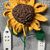 Sonnenblume häkeln #008
