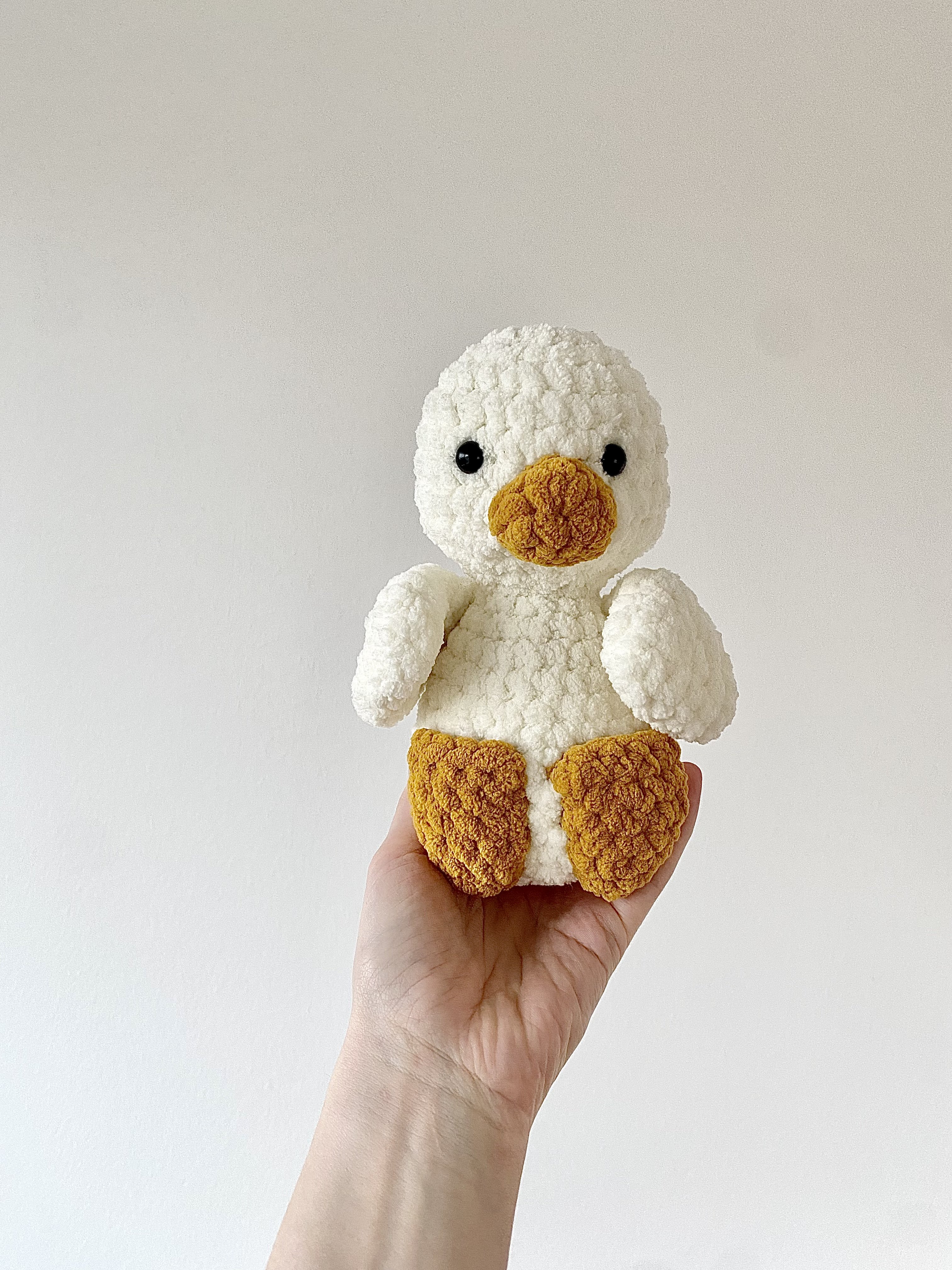Duck 