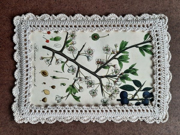 Rechteckiger Rahmen mit cremefarbenem Häkelrand und botanischer Illustration von blühenden Zweigen und Früchten.