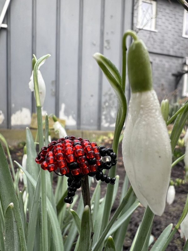 Perlentier "Marienkäfer"